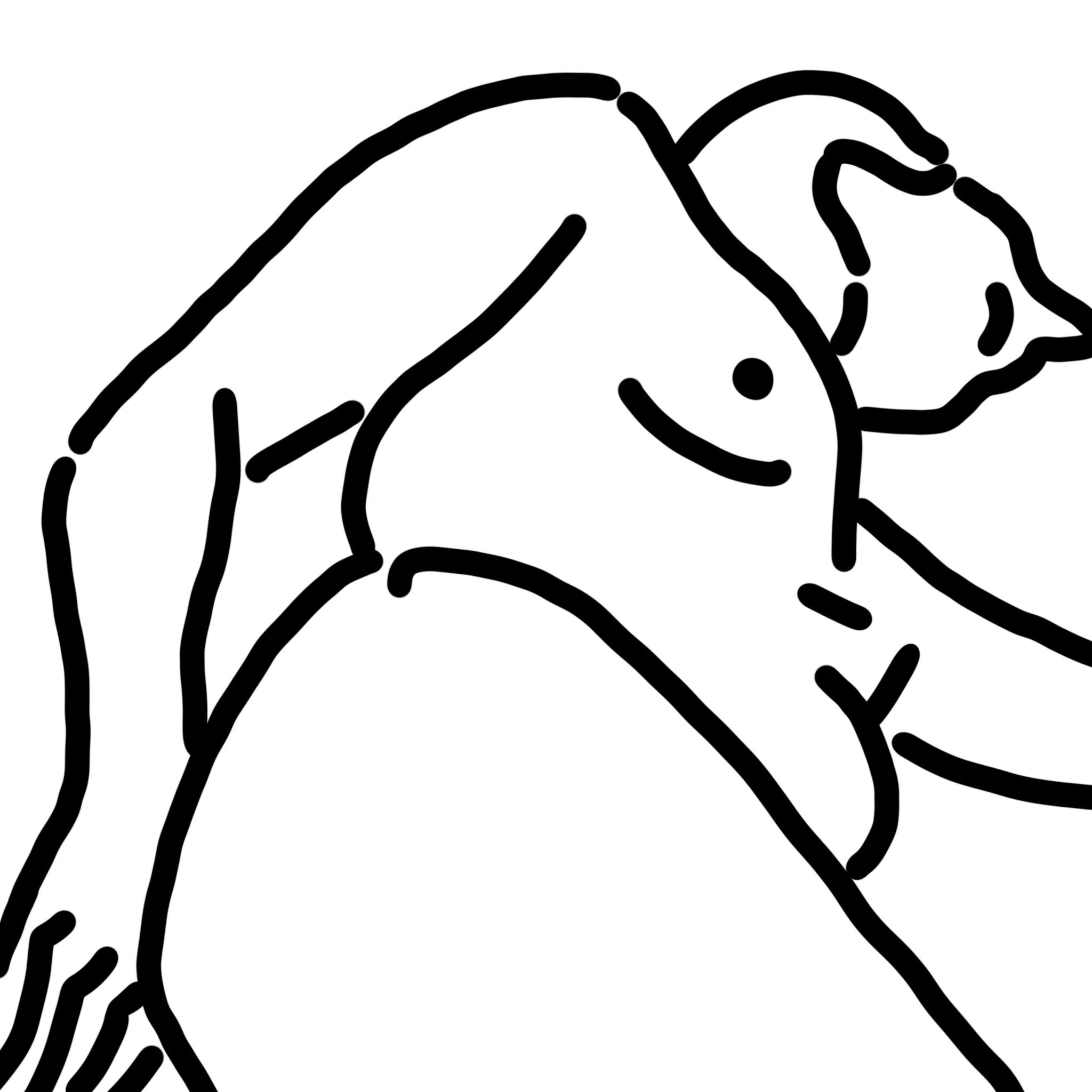 J. à la Matisse